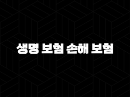 생명 보험 손해 보험(+ 2025년 당신에게 필요한 보험은? 완벽 비교 가이드!) 31
