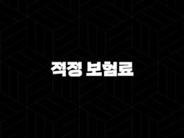 적정 보험료(+ 2025년 나에게 맞는 보험료는 얼마일까?) 29