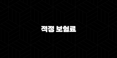 적정 보험료(+ 2025년 나에게 맞는 보험료는 얼마일까?) 37