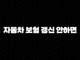 자동차 보험 갱신 안하면(+ 2025년 과태료 폭탄 피하는 7가지 방법) 35