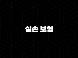 실손 보험(+ 2025년 최신 정보와 현명한 선택 가이드) 31