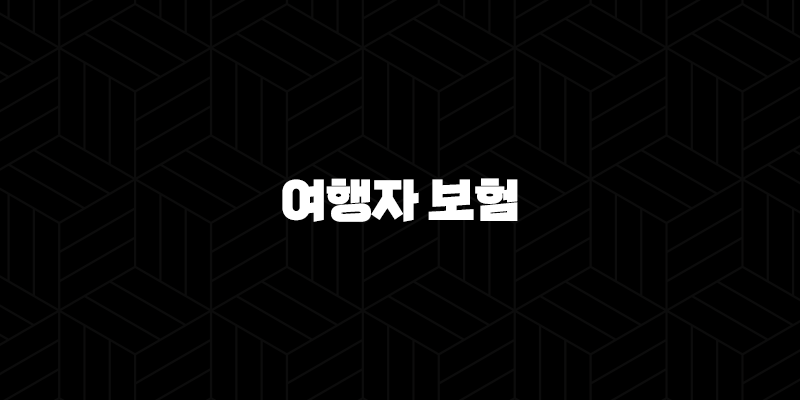 여행자 보험 - 2025년 꼭 알아야 할 7가지 - 가격 비교, 필수 정보, 추천 가이드 255
