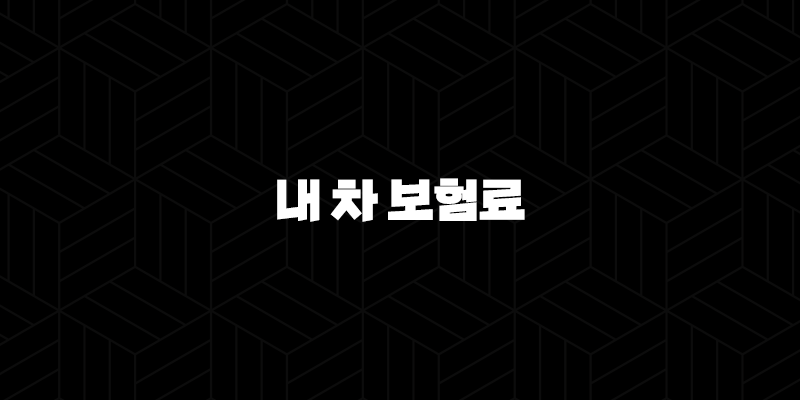 내 차 보험료 알아보기(+ 2025년 최신 정보와 꿀팁 총정리) 257