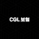 CGL 보험 2025년 기업을 위한 완벽 가이드(+ 종류, 약관, 가입 시 유의사항 총정리) 109