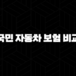 국민 자동차 보험 비교 가이드 - 핵심 정보만 담은 꿀팁 13