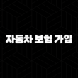 자동차 보험 가입 완벽 가이드 5가지(+ 자동차 보험 가입 확인부터 거절까지) 13
