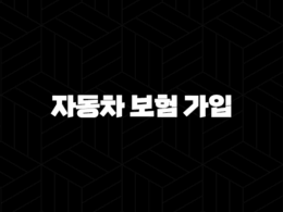 자동차 보험 가입 완벽 가이드 5가지(+ 자동차 보험 가입 확인부터 거절까지) 25