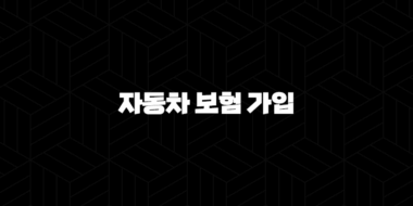 자동차 보험 가입 완벽 가이드 5가지(+ 자동차 보험 가입 확인부터 거절까지) 37