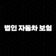 똑똑하게 법인 자동차 보험 가입하는 5가지 방법 - 비교, 견적, 임직원 범위 완벽 가이드 13