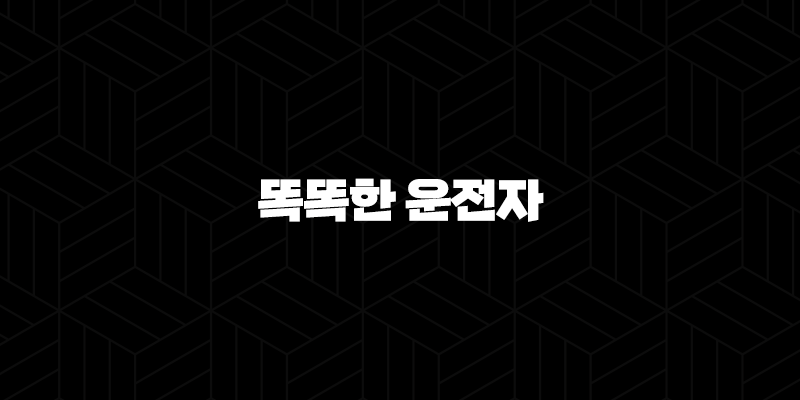 똑똑한 운전자를 위한 5가지 선택(+ 하나 다이렉트 자동차 보험 가이드) 313