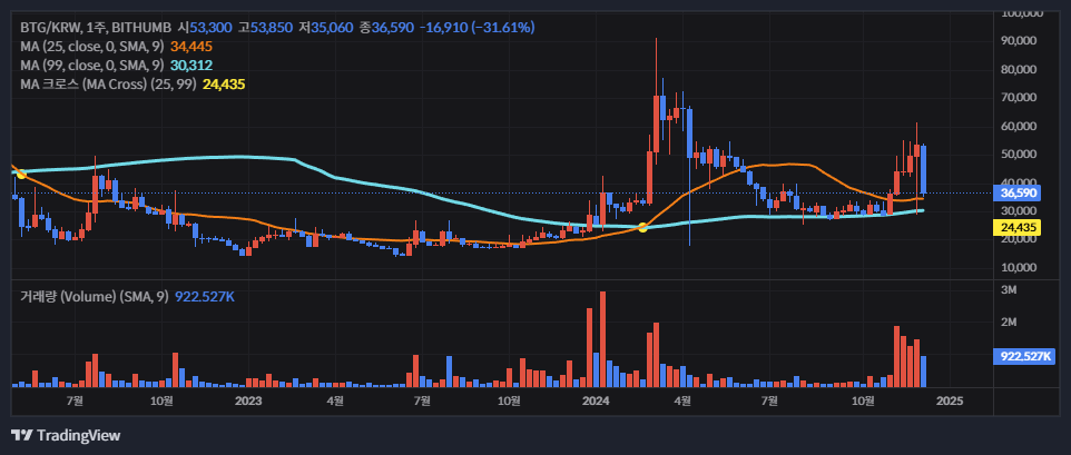 비트코인 골드(Bitcoin Gold, BTG) 소개(2025년)