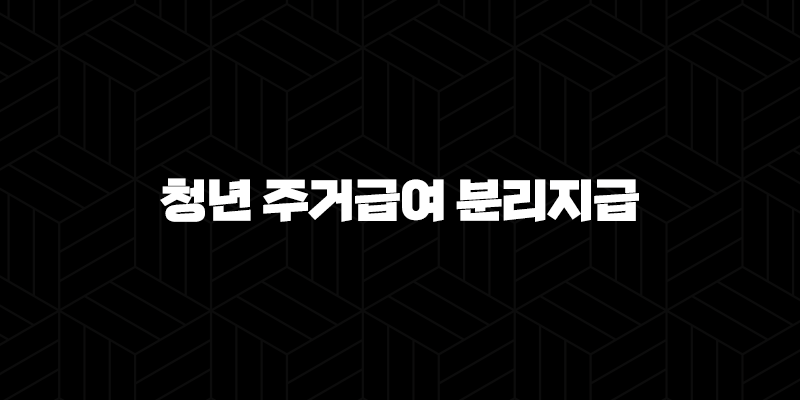 2024년 핵심 정보! 청년 주거급여 분리지급(+ 지원 대상, 꿀팁 조건, 확실한 신청 방법 총정리) 43