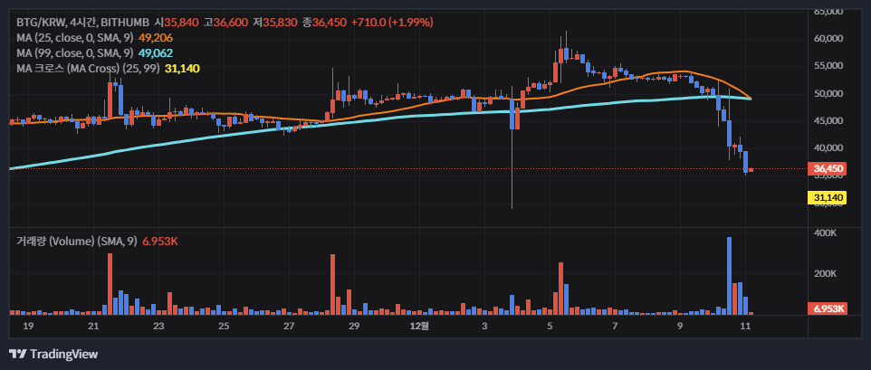 비트코인 골드(Bitcoin Gold, BTG) 소개(2025년)