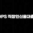 신한은행 Tops 직장인신용대출 II 금리, 한도, 신청, 해지방법 : 5가지 핵심 가이드 (2024년) 13