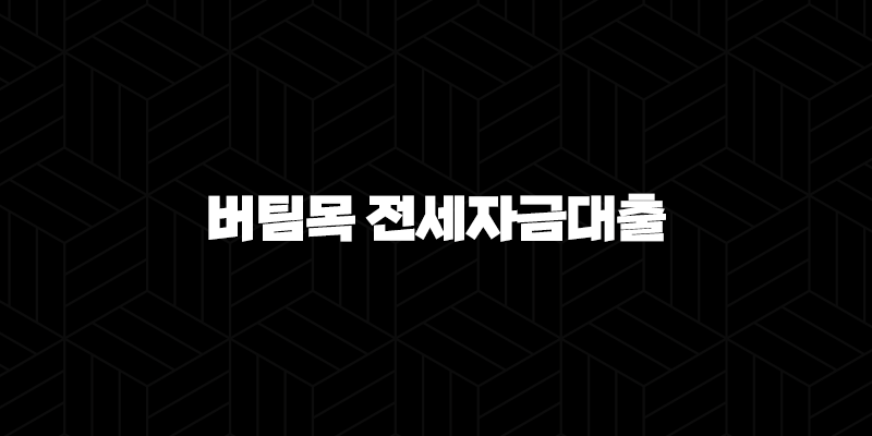 2024년 신혼부부 버팀목 전세자금대출 조건 변경 9