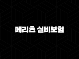 메리츠 실비보험(+ 가입 전 알아야 할 5가지 핵심 포인트) 35