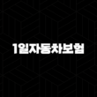 1일자동차보험 및 원데이 자동차보험 가입 자세히 알아보기 17