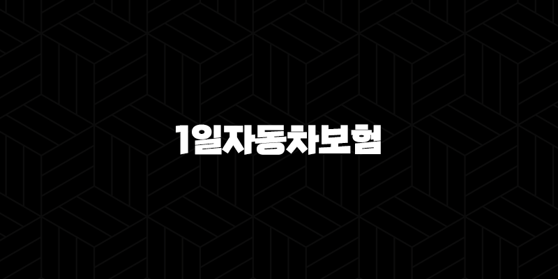 1일자동차보험 및 원데이 자동차보험 가입 자세히 알아보기 9