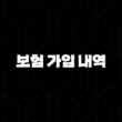 보험 가입 내역을 빠르고 쉽게 조회하는 방법 19