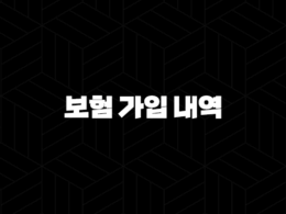 보험 가입 내역을 빠르고 쉽게 조회하는 방법 27
