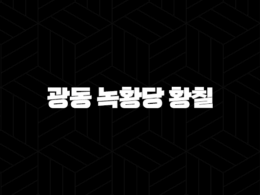 광동 녹황당 황칠 가격, 효능 효과 후기, 제품 특징 44