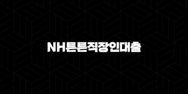 농협은행 NH튼튼직장인대출 자격, 조건 및 신청 방법 41