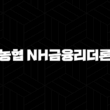 농협 NH금융리더론 : 3가지 핵심 자격 조건 완벽 해설 및 간편 신청 방법 27