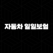 자동차 일일보험 하루 운전자 특약 자격, 조건, 신청방법 17