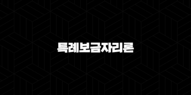 2024년 특례보금자리론 자격, 조건, 신청방법 25