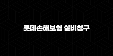 롯데손해보험 실비청구 자격, 조건, 신청방법 38