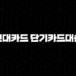 현대카드 단기카드대출 자격, 조건 및 신청방법 23