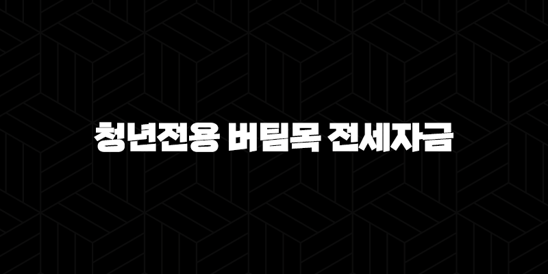 우리은행 청년전용 버팀목 전세자금 자격요건 한도 금리 총정리(2024년) 9