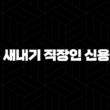 2024년 농협 새내기 직장인 신용대출 완벽 분석 : 자격, 한도, 금리 총정리 23