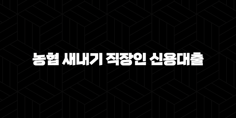 2024년 농협 새내기 직장인 신용대출 완벽 분석 : 자격, 한도, 금리 총정리 9