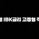 기업은행 IBK금리 고정형 적격대출 : 2024년 자격, 한도, 금리, 완벽 총정리 (7가지 핵심 정보) 93