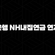 농협은행 NH내집연금 연계대출 자격요건 한도 금리 총정리(2024년) : 3가지 핵심 전략 17