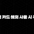 신한은행 카드 해외 사용 시 주의사항 5가지 : 꼭 알아야 할 것들 17
