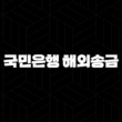 국민은행 해외송금 5가지 가장 빠르고 안전한 방법 13