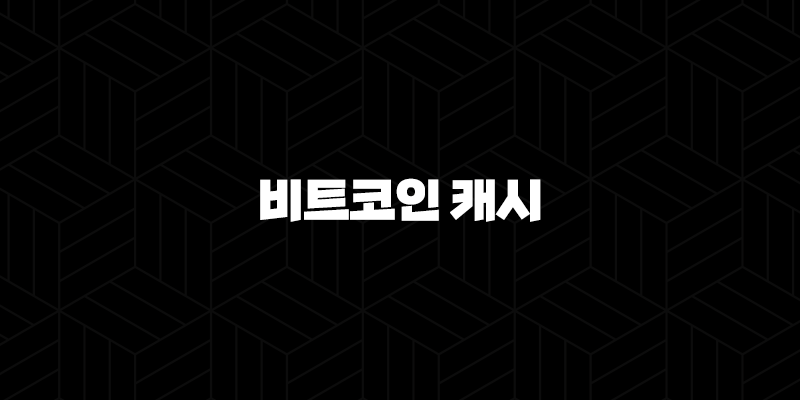 비트코인 캐시(BCH) 특징, 소개, 차트분석, 향후 전망(2025년) 137