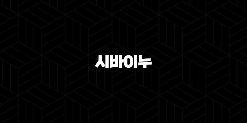 시바이누 코인 시세 전망, 가격 상승 이유, 급상승 원인(2025년) 9