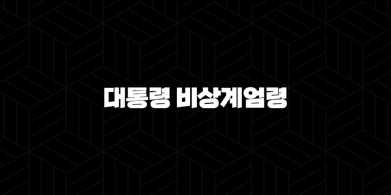 대통령 비상계엄령에 따른 사회적 영향과 절차(12.13) 9