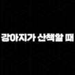 강아지가 산책할 때, 풀을 뜯어먹는 이유 2024 35