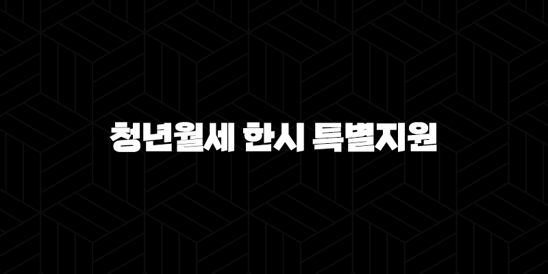 청년월세 한시 특별지원 혜택, 신청방법, 신청절차, 선정기준 2024 13 청년월세 한시 특별지원 혜택, 신청방법, 신청절차, 선정기준 2024 12