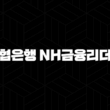 농협은행 NH금융리더론 자격, 조건 및 신청 방법 2024 17