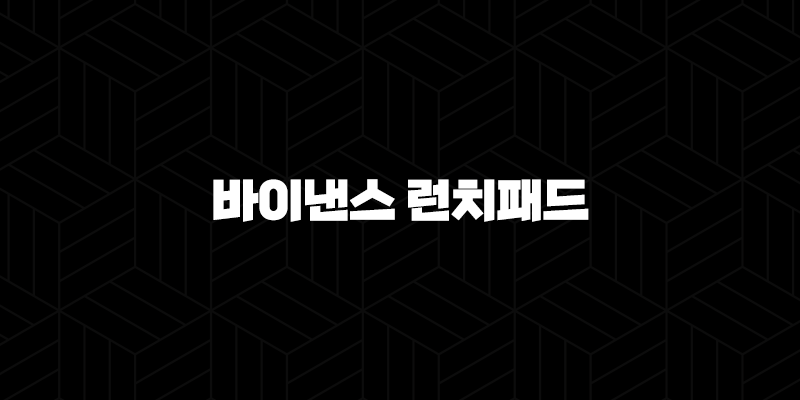 바이낸스 런치패드 완벽 가이드 2025 : 숨겨진 수익 기회 잡기 9