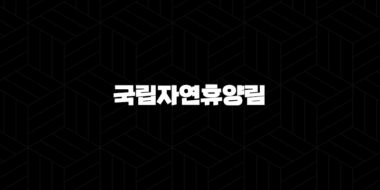 국립자연휴양림 예약방법 완벽 가이드 숲나들이e 경쟁률 뚫는 꿀팁 15