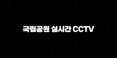 국립공원 실시간 CCTV 모바일 확인 방법과 안전 산행 꿀팁 49