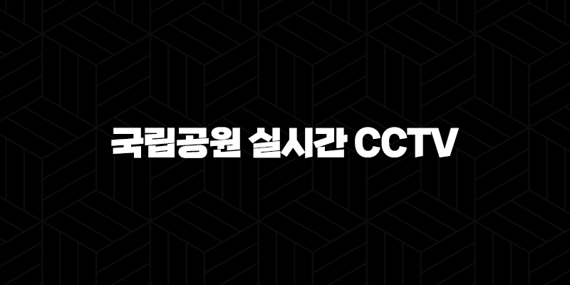 국립공원 실시간 CCTV 모바일 확인 방법과 안전 산행 꿀팁 9