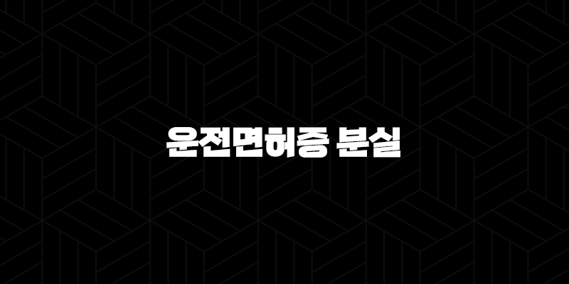 운전면허증 분실 해외여행 렌터카 대처법과 모바일 신분증 활용 꿀팁 9