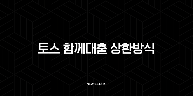 토스 함께대출 상환방식 완벽 분석 (2025년 최신 정보) 117